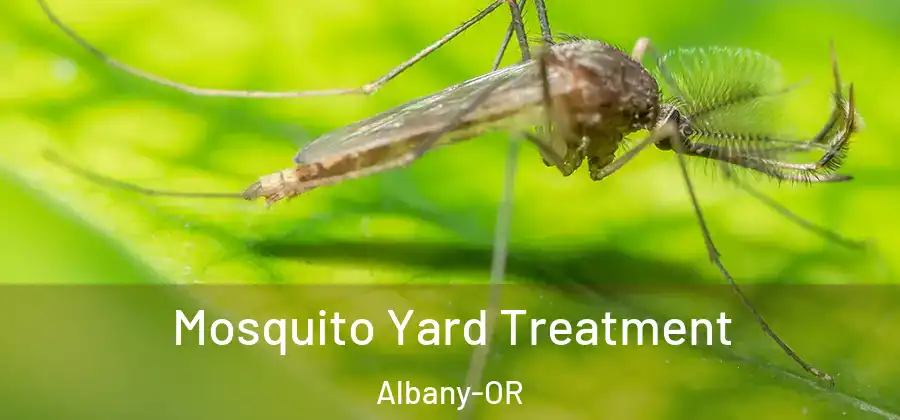 Mosquito Yard Treatment Albany-OR