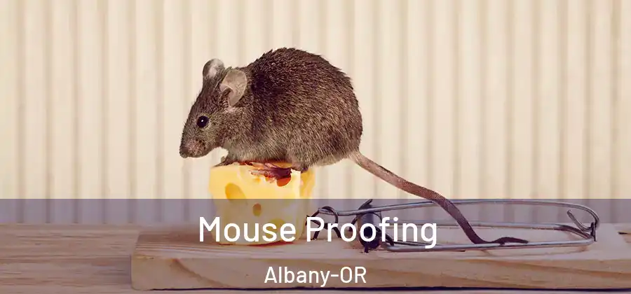  Mouse Proofing Albany-OR