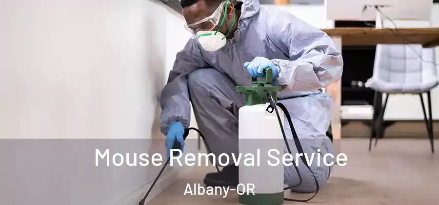  Mouse Removal Service Albany-OR