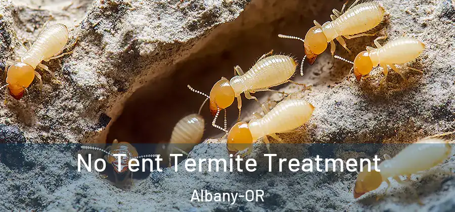 No Tent Termite Treatment Albany-OR