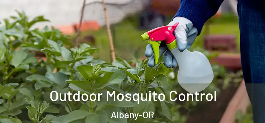  Outdoor Mosquito Control Albany-OR