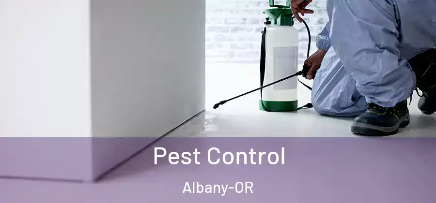 Pest Control Albany-OR