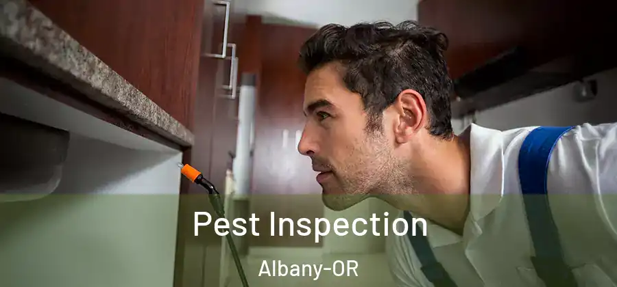  Pest Inspection Albany-OR