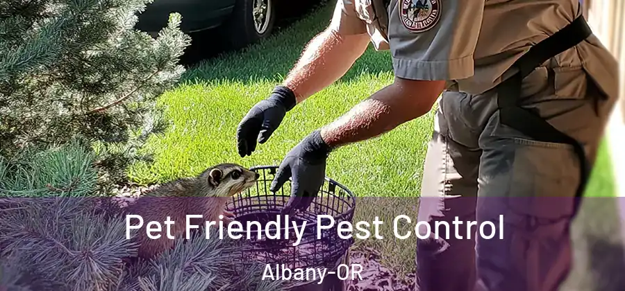  Pet Friendly Pest Control Albany-OR