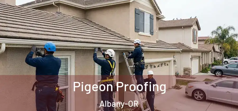 Pigeon Proofing Albany-OR
