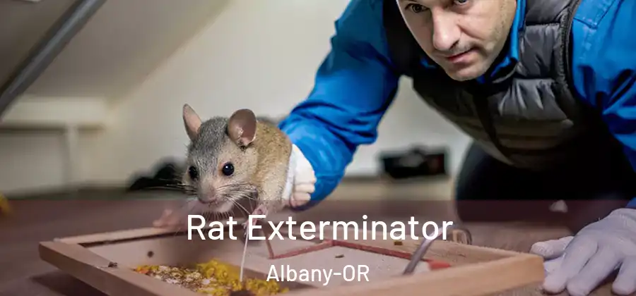  Rat Exterminator Albany-OR