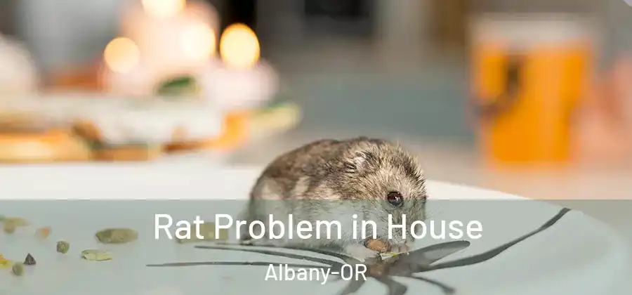  Rat Problem in House Albany-OR