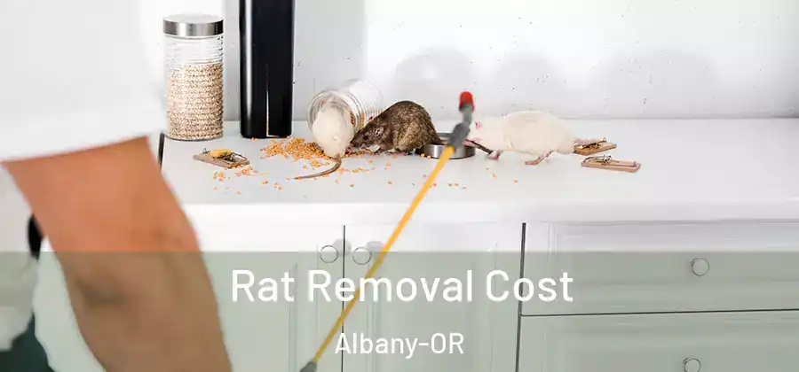  Rat Removal Cost Albany-OR