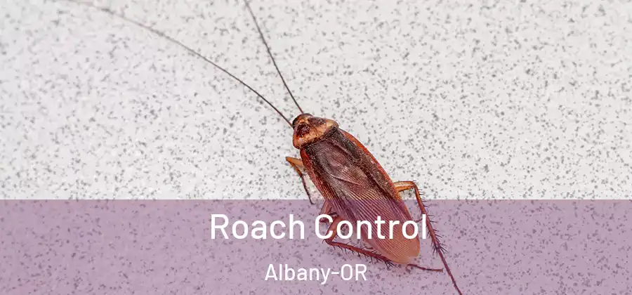  Roach Control Albany-OR