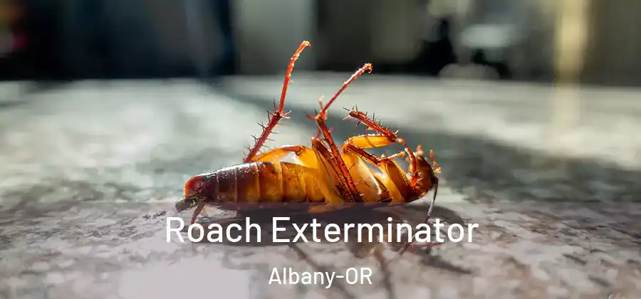  Roach Exterminator Albany-OR