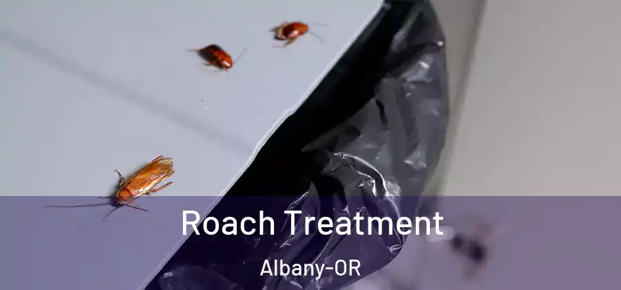  Roach Treatment Albany-OR