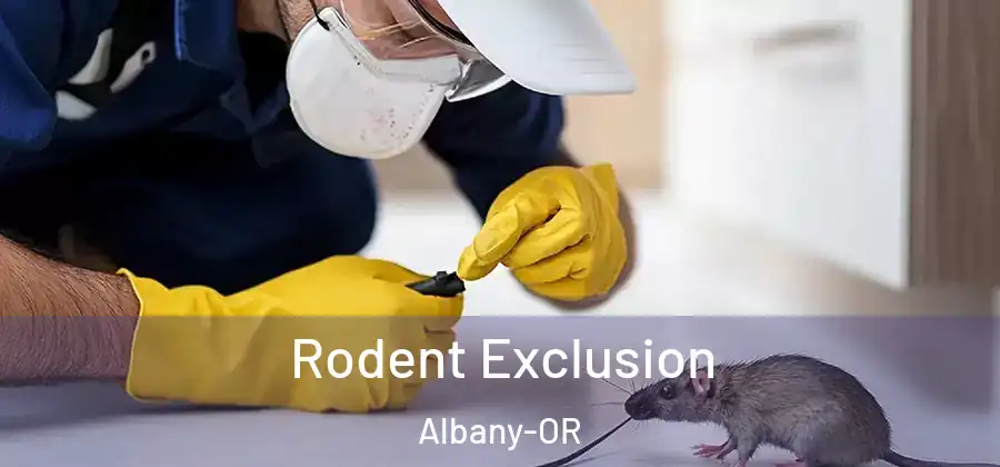  Rodent Exclusion Albany-OR