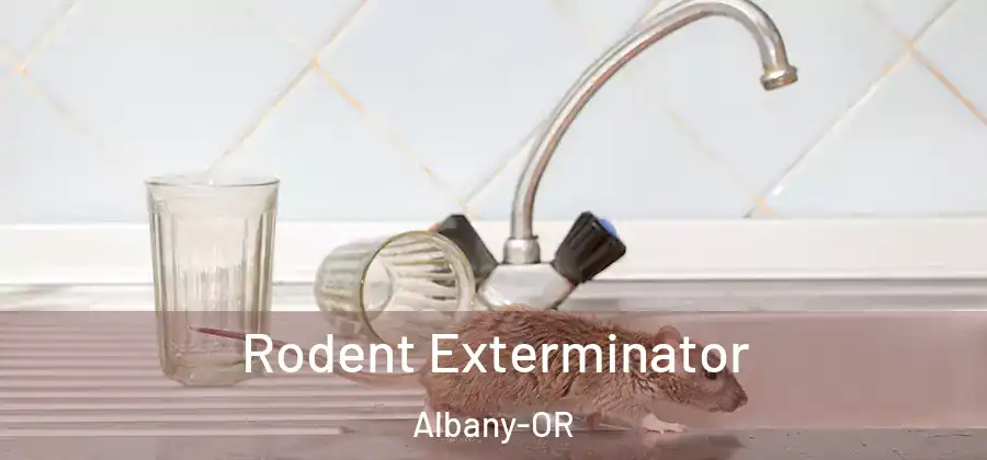  Rodent Exterminator Albany-OR