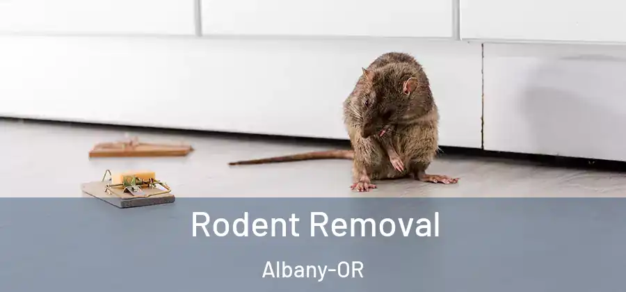  Rodent Removal Albany-OR