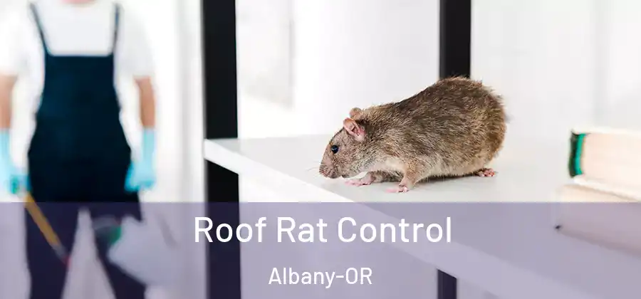  Roof Rat Control Albany-OR