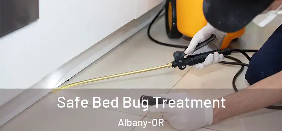  Safe Bed Bug Treatment Albany-OR