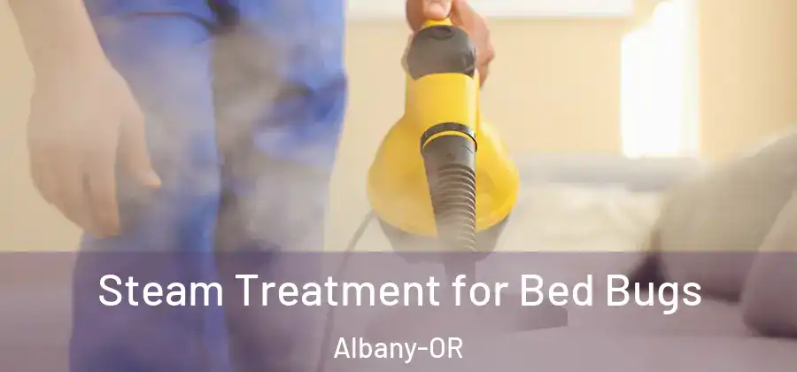  Steam Treatment for Bed Bugs Albany-OR