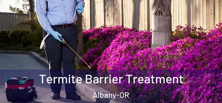  Termite Barrier Treatment Albany-OR