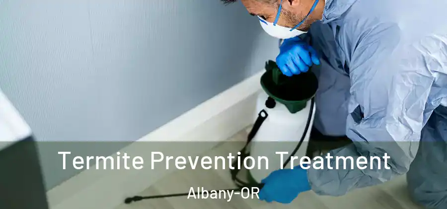  Termite Prevention Treatment Albany-OR