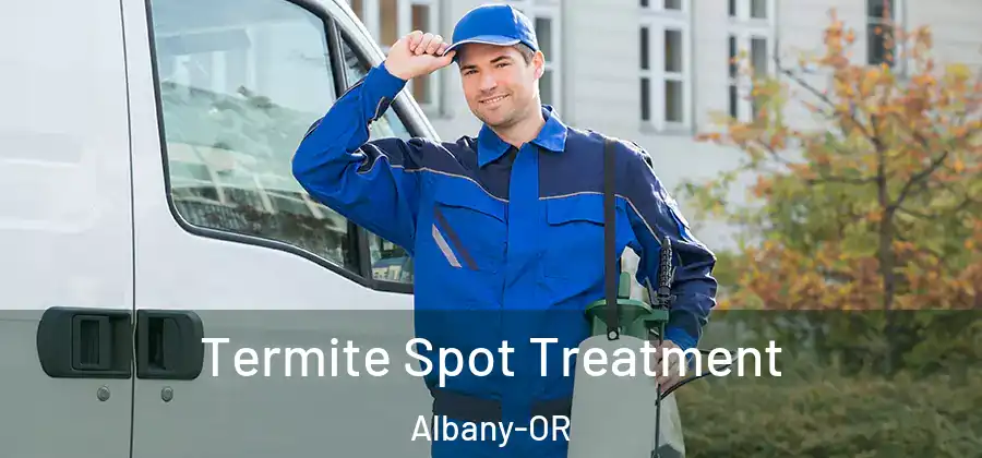  Termite Spot Treatment Albany-OR