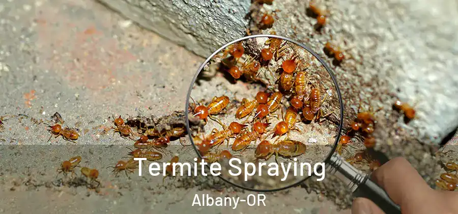  Termite Spraying Albany-OR