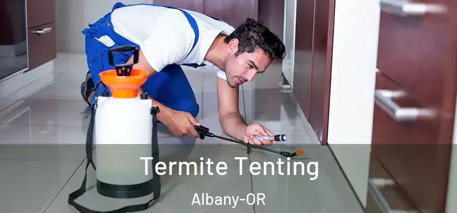 Termite Tenting Albany-OR