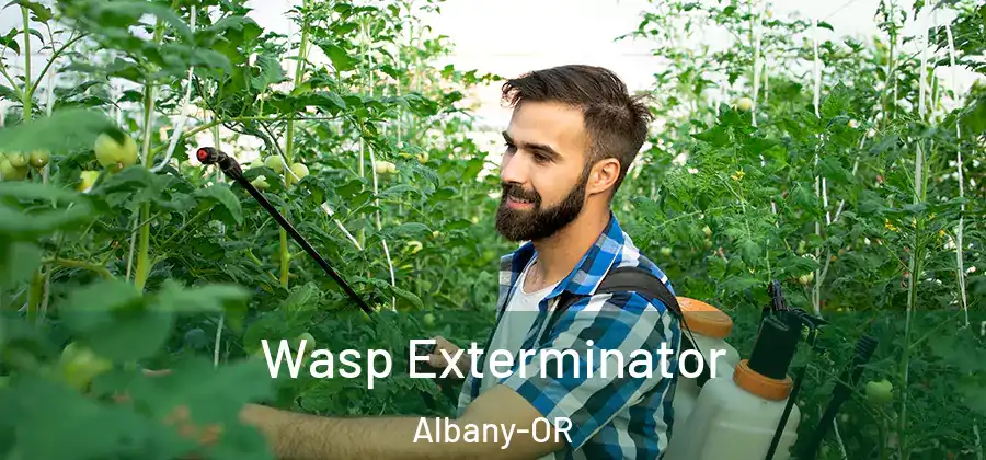 Wasp Exterminator Albany-OR