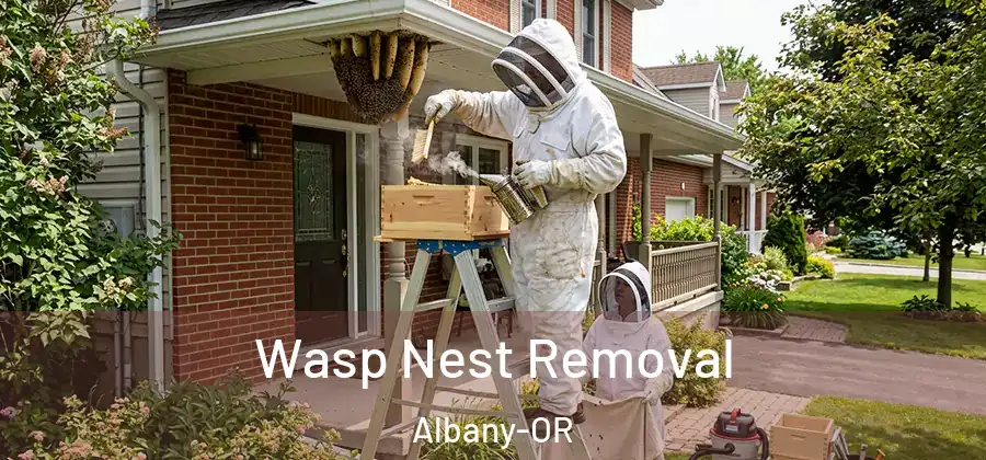  Wasp Nest Removal Albany-OR