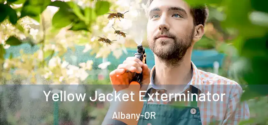 Yellow Jacket Exterminator Albany-OR